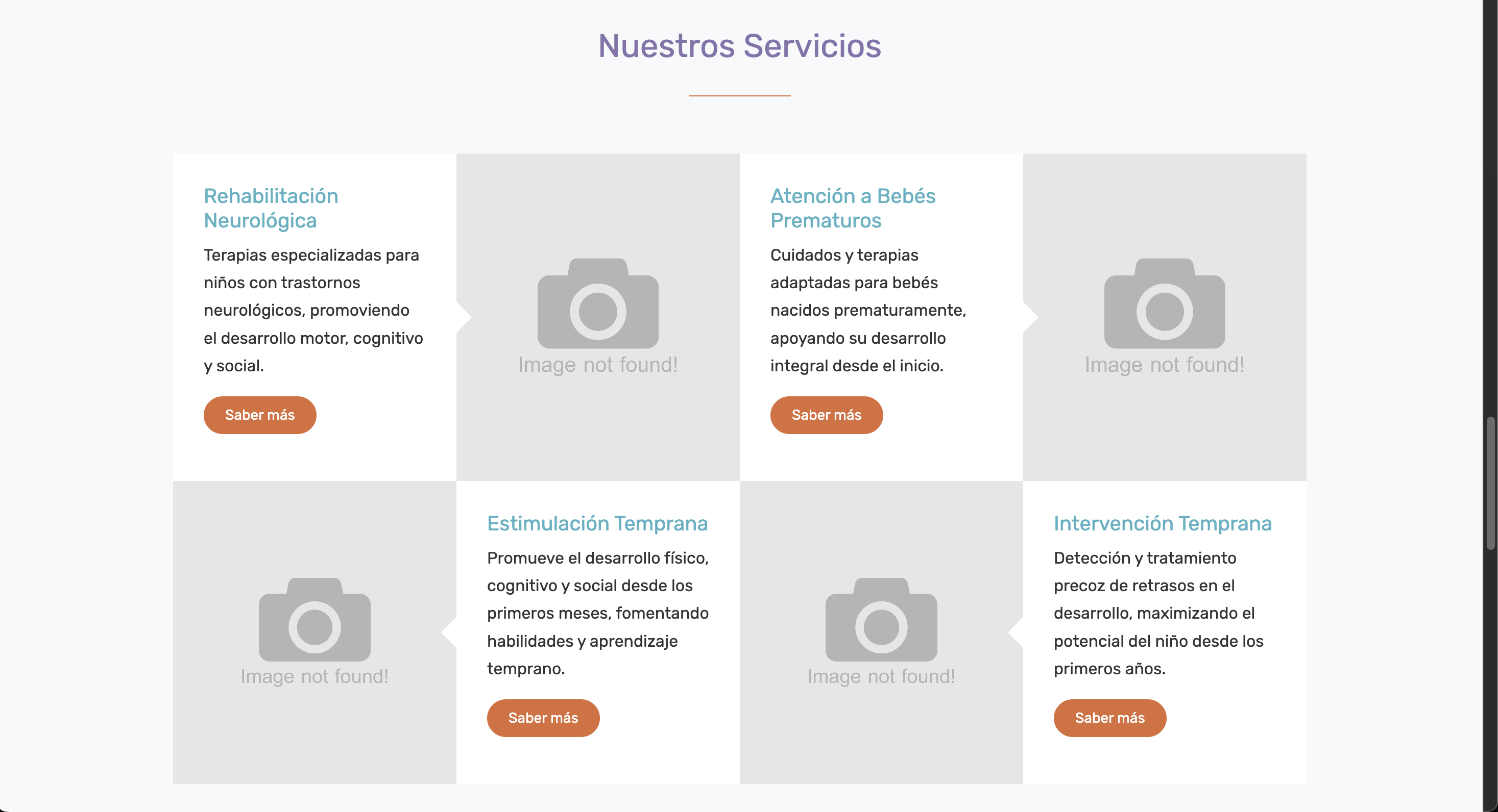 NedNer Therapy — 4